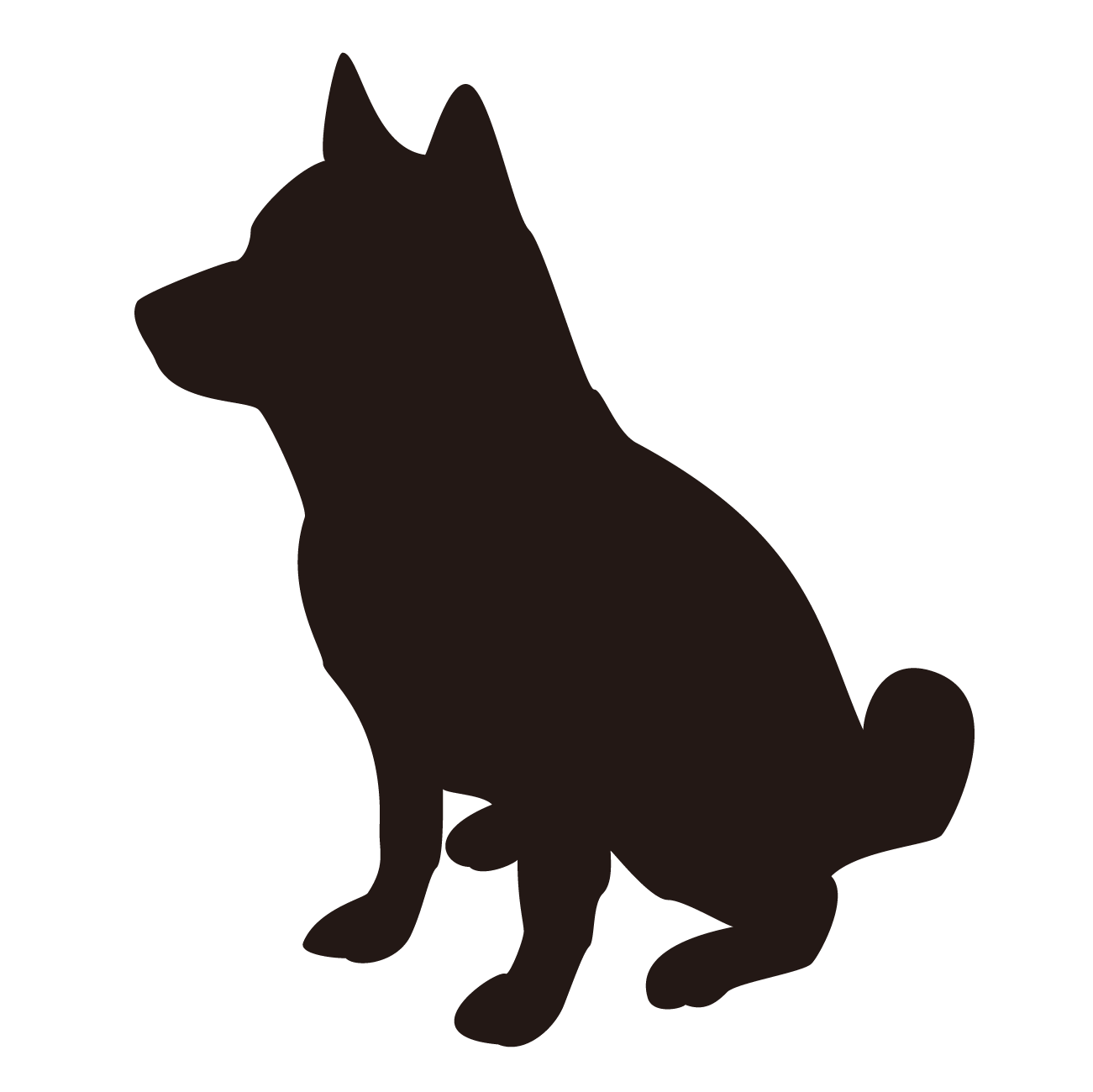 Online Dog Lessons | 愛犬のホームケアを自宅で学ぶオンライン講座